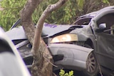 side view of a crashed where two boys who were passengers died in  the Sydney south-west suburb of Ashcroft