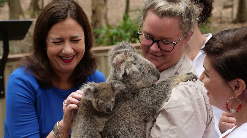 woman with koala
