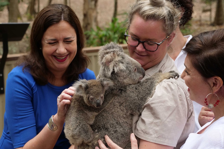 woman with koala