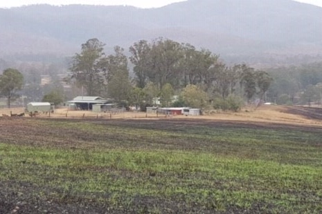 Scorched paddock in the distance with green shoots in the field in foreground.