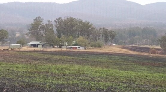 Scorched paddock in the distance with green shoots in the field in foreground.