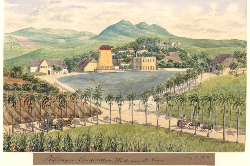 Archive copy of a landscape painting showing a sugar plantation and settlement.