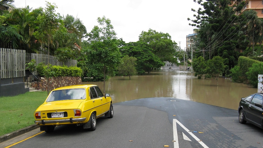 Sandford Street, St Lucia at 10.30am on January 12, 2011.