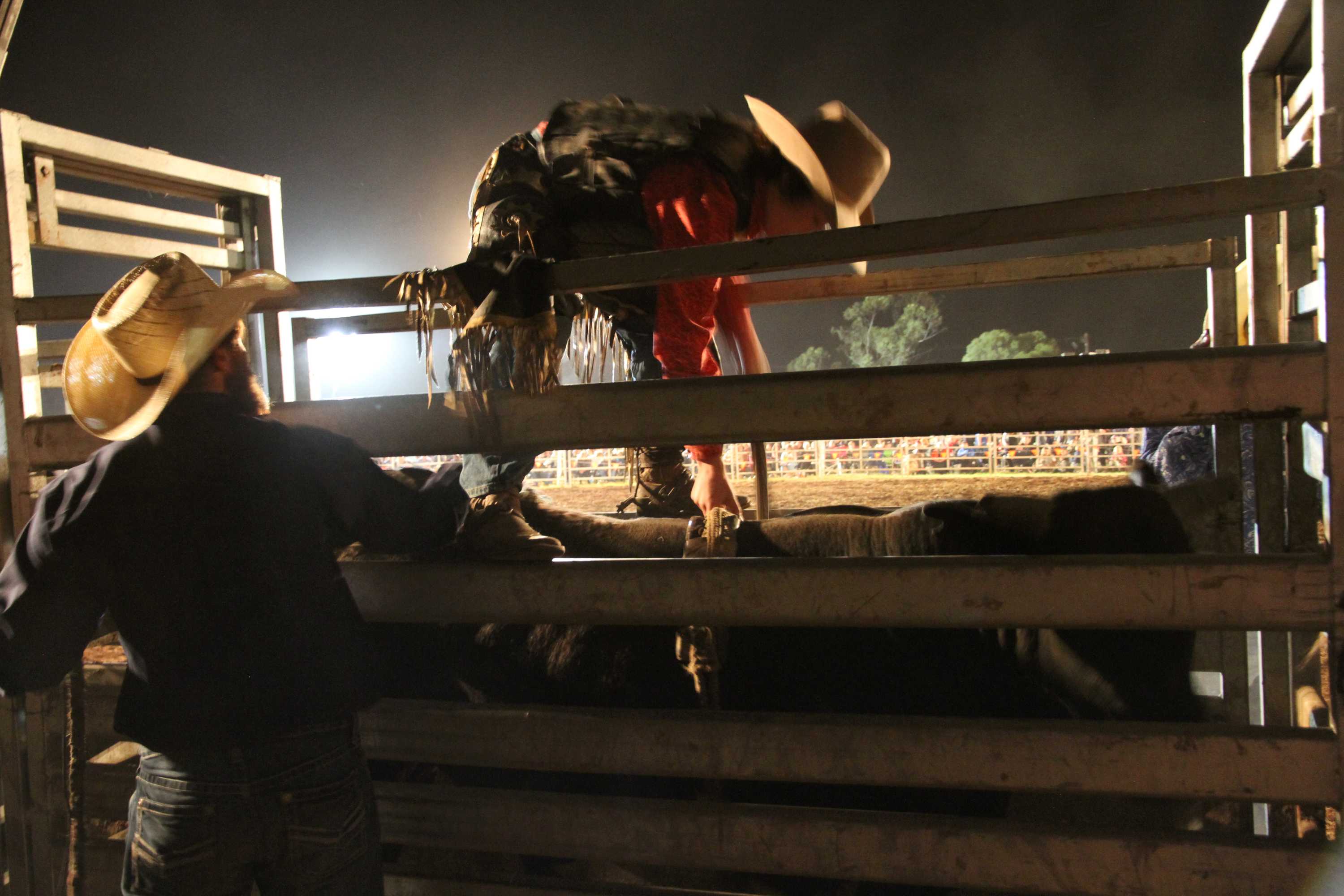 Beer risks running out as punters enjoy the thrills and spills of the ...