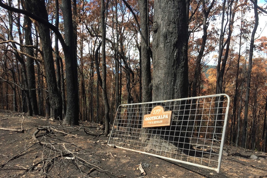 Repairing damaged fences is a priority for many farmers in the Pappinbarra Valley, a damaged gate lies on burnt ground.