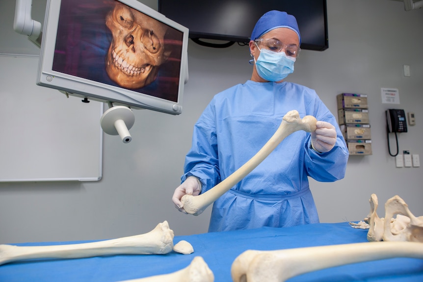 A woman wearing blue PPE and holding a human femur bone is pictured in a laboratory 