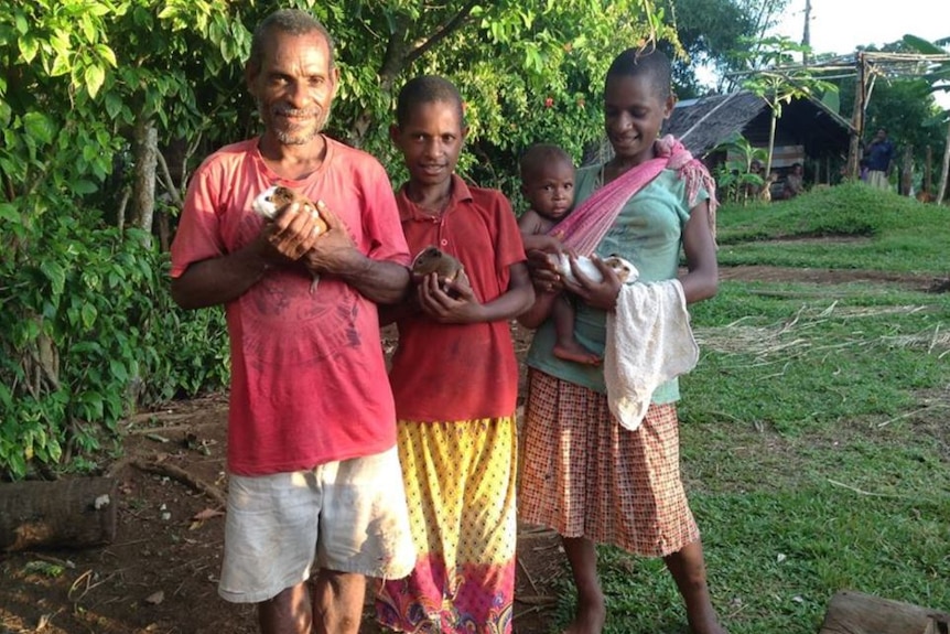 Papua New Guinea villagers hold their guinea pigs
