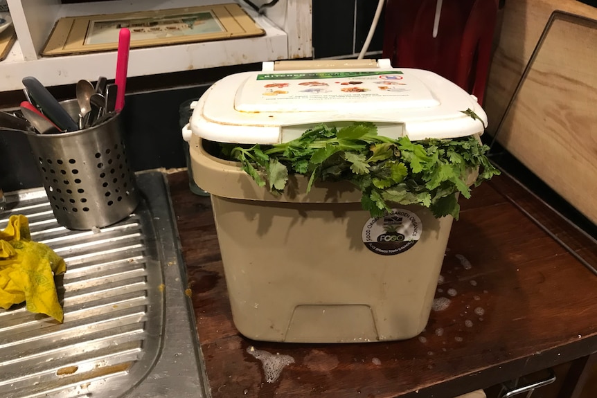 small kitchen compost bin with green leaves spilling out from under the lid