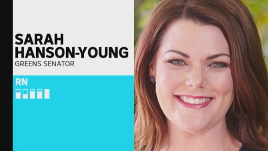 'He's slut-shaming me': Sarah Hanson-Young hits back at David Leyonhjelm