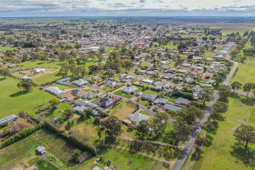 A drone photo show hundreds of homes surrounded by large trees and green paddocks on a sunny day.