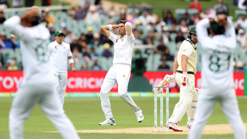 Shaheen Shah Afridi holds his head in his hands