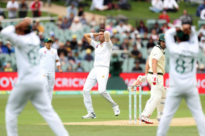 Shaheen Shah Afridi holds his head in his hands