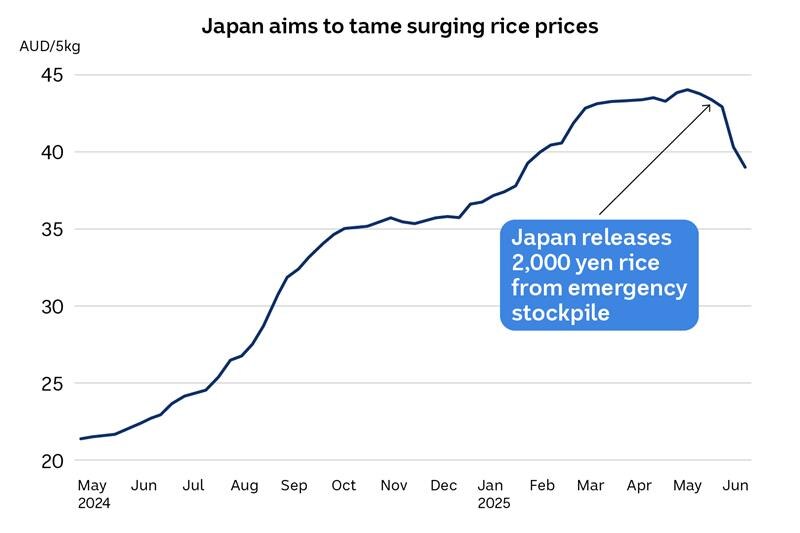 Un gráfico de línea que muestra los precios que suben a un pico durante un año.
