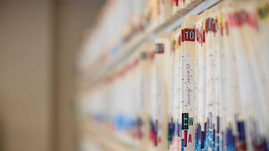 A close up image of records in manila folders sitting on a shelf.