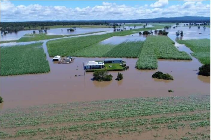 Flood affected Northern Rivers farmers still counting the cost and ...
