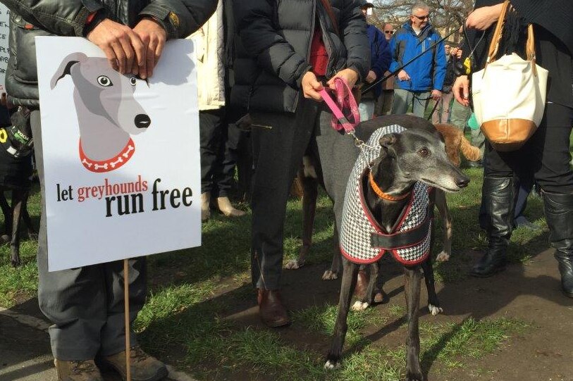 Hundreds attend dog-racing rally
