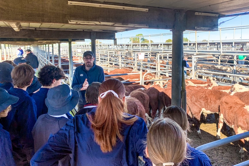 A group on students with there back turned can be seen, looking at a teacher talking to the class at the saleyards.