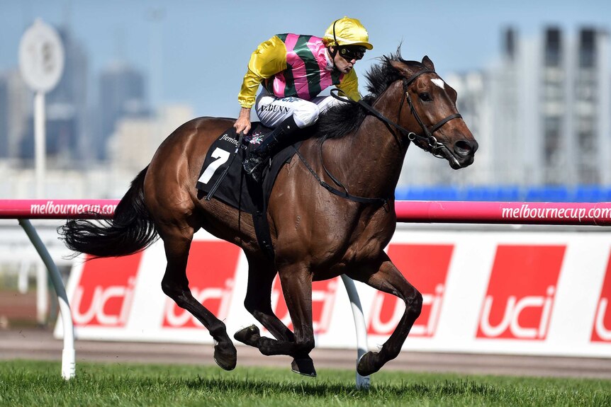 Let's Make Adeal races to victory in the Group Three The Bart Cummings at Flemington.