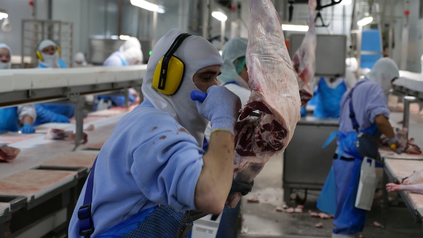 workers butcher in an abattoir