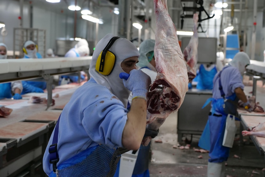 workers butcher in an abattoir