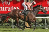 Black Caviar flashes past the post