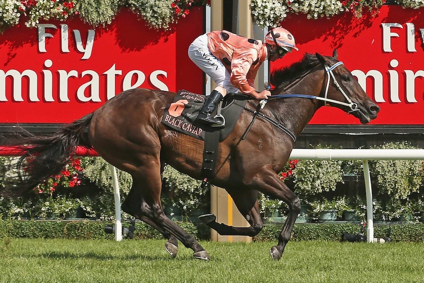 Black Caviar flashes past the post