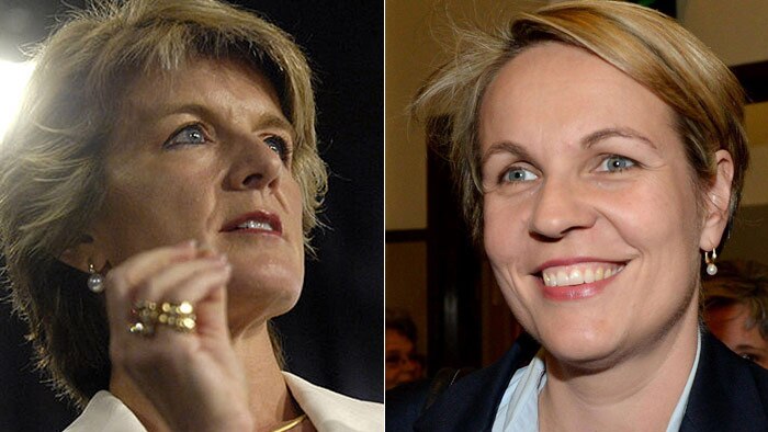Foreign Affairs Minister Julie Bishop and her Opposition shadow Tanya Plibersek