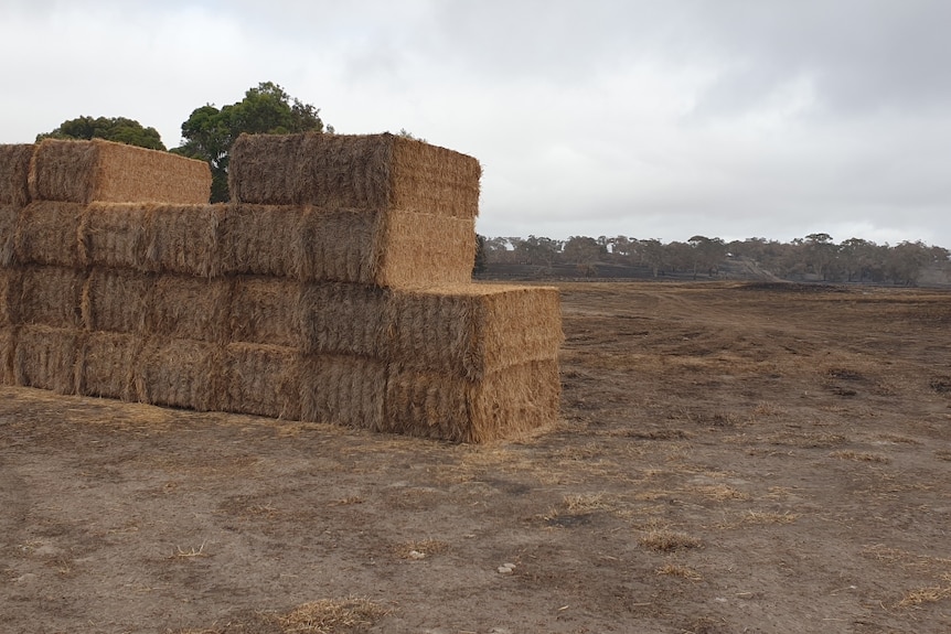 Rectangular bales of hay are stacked in the foreground, with blackened ground behind them