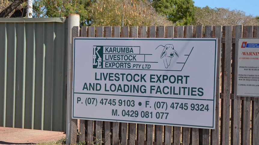 Live export loading yards at Karumba, North Qld.