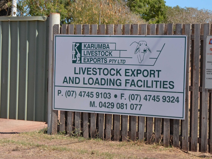 Live export loading yards at Karumba, North Qld.