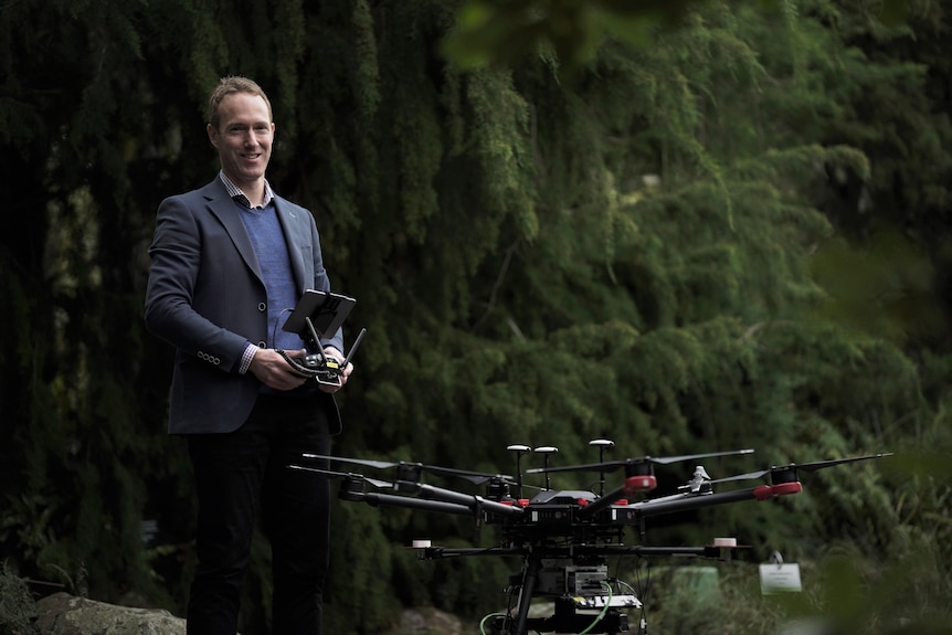 A man stands in front of a Huon pine with a drone