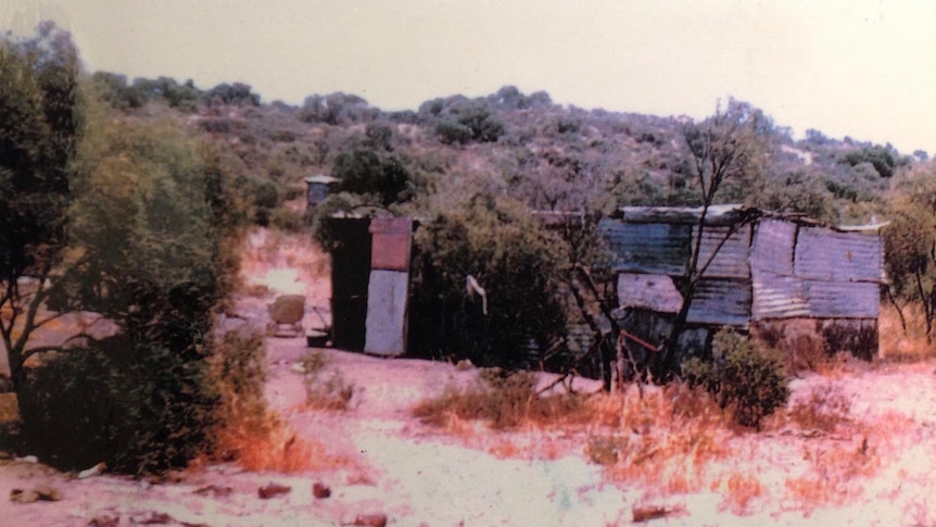 A tin humpy, surrounded by bush.