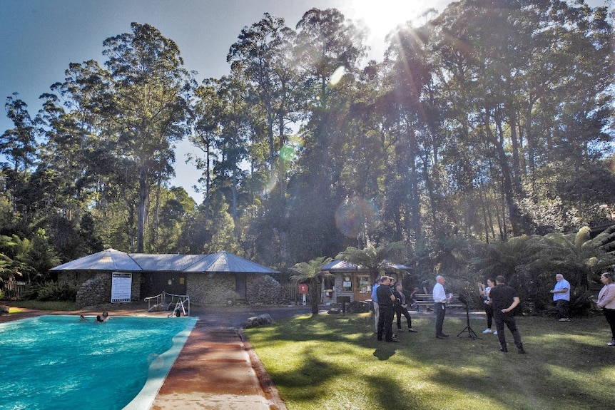 A swimming pool surrounded by lawn and tall trees.