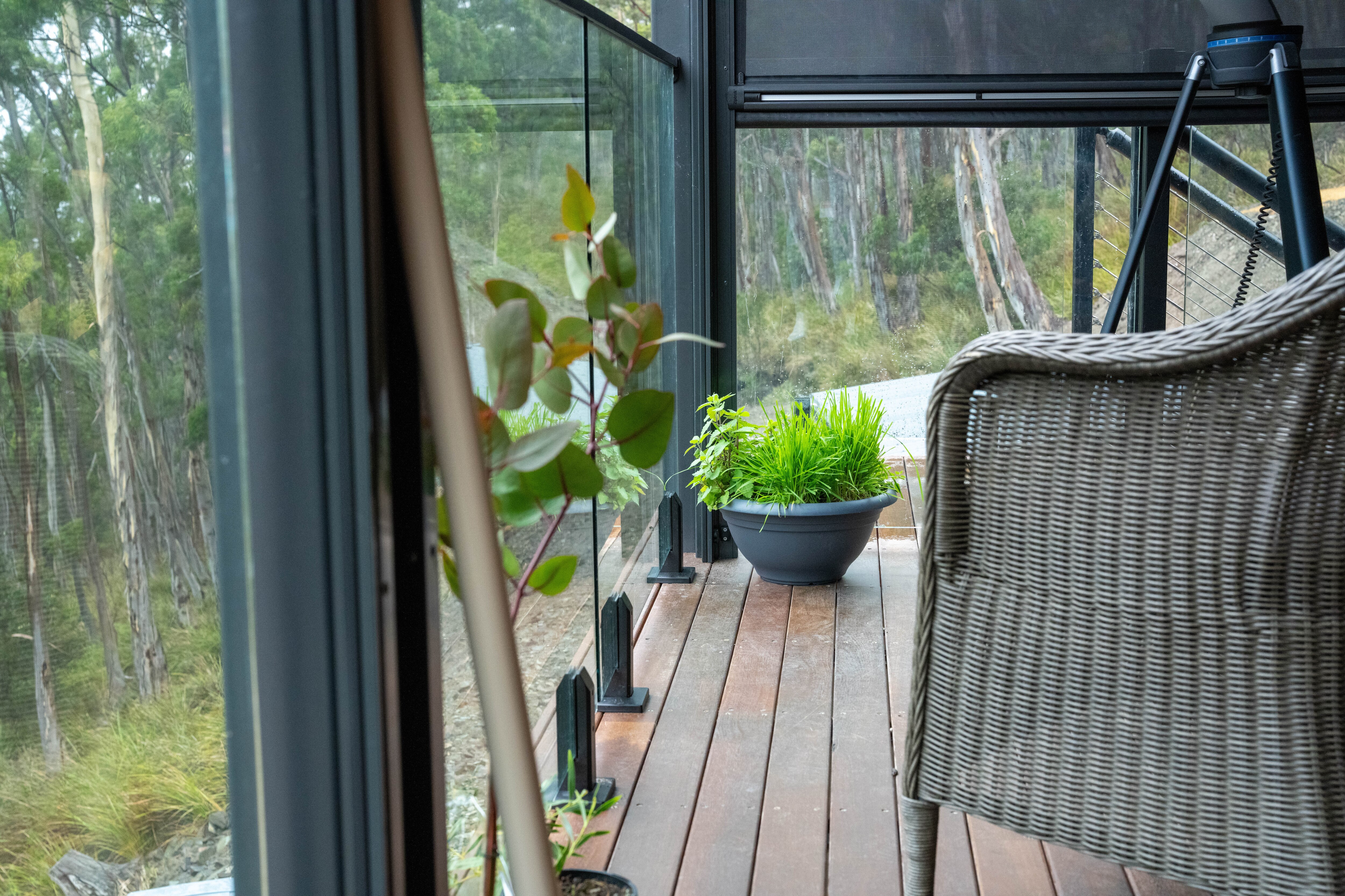 A house in the middles on a high tree top canopy