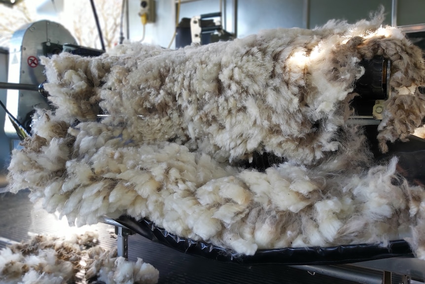 a pile of fleece sits on a platform