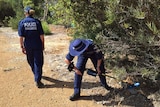 Tow police forensics officers in blue suits, one with a metal detector, search bushes in Lesmurdie.