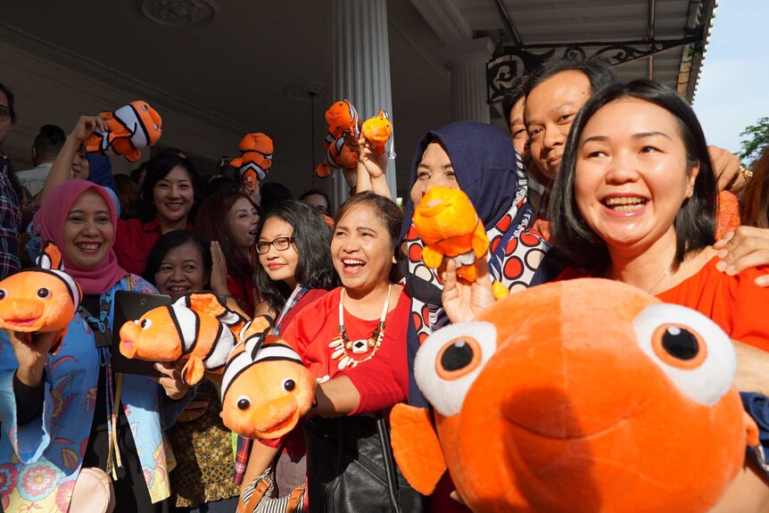 Supporters came armed with orange Nemo plush toys of various sizes