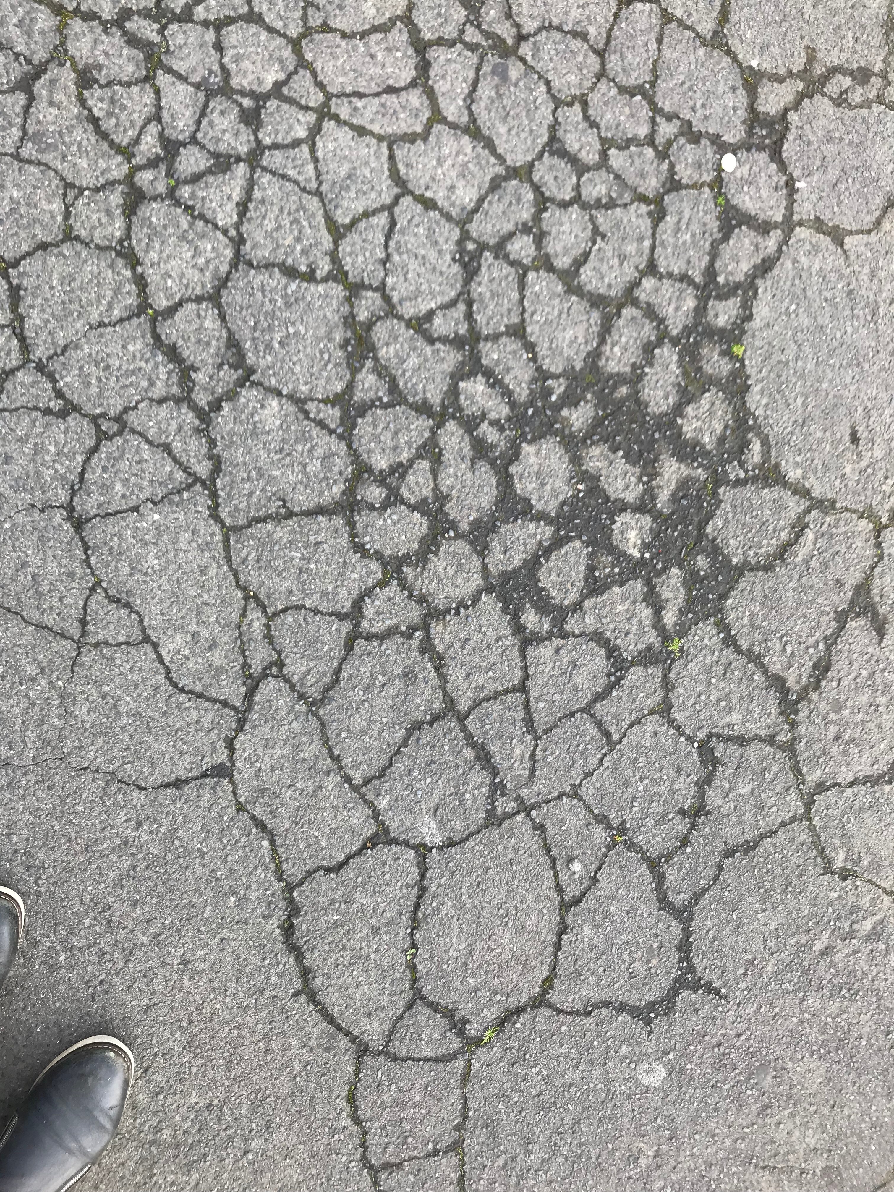 Cracks on the pavement