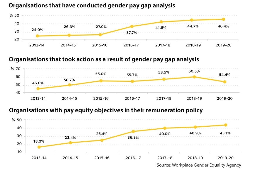 Chart showing analysis of gender pay gaps conducted by organisations.