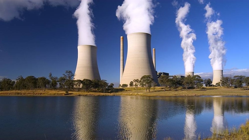 The smoke stacks of the Bayswater power station.