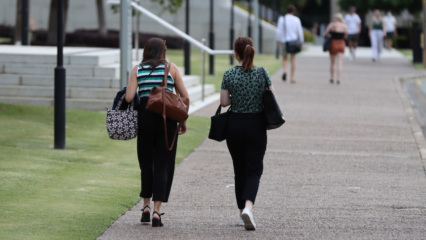 Les universités du Queensland ont perdu 1,3 milliard de dollars en 2022, l’avenir financier de TAFE «en danger», selon un audit du secteur de l’éducation