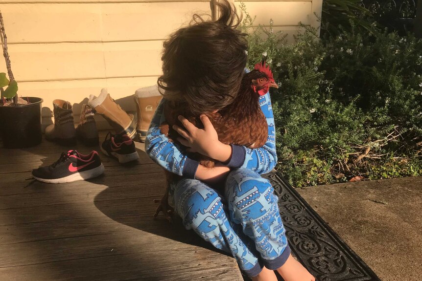 A young boy wearing pyjamas hugs a chicken, for a story about best first pets for families.
