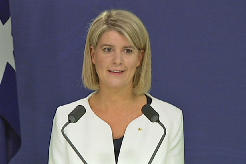 Ambassador for Women and Girls Natasha Stott-Despoja alarmed by violence against women in Gaza.