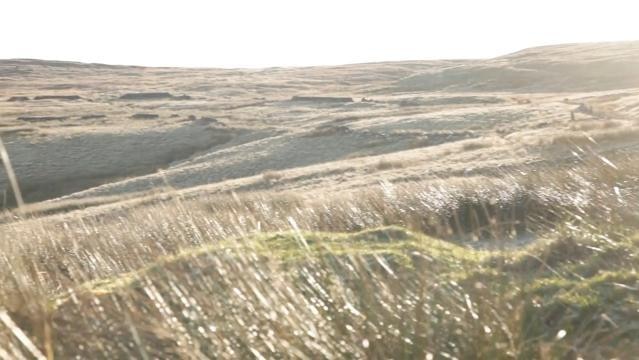 An open landscapel on the Yorkshire Moors