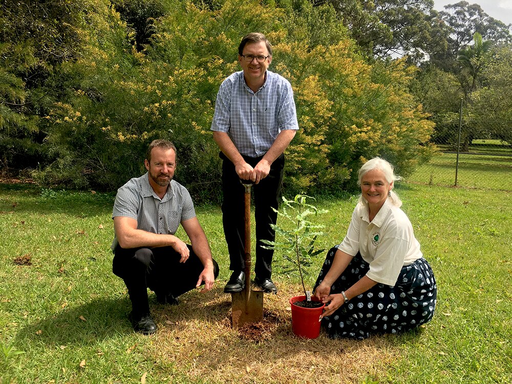Lismore cooperative to largest macadamia processor in the world