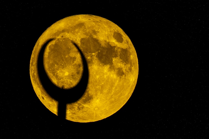 A large, yellow full moon rises in the black night sky 