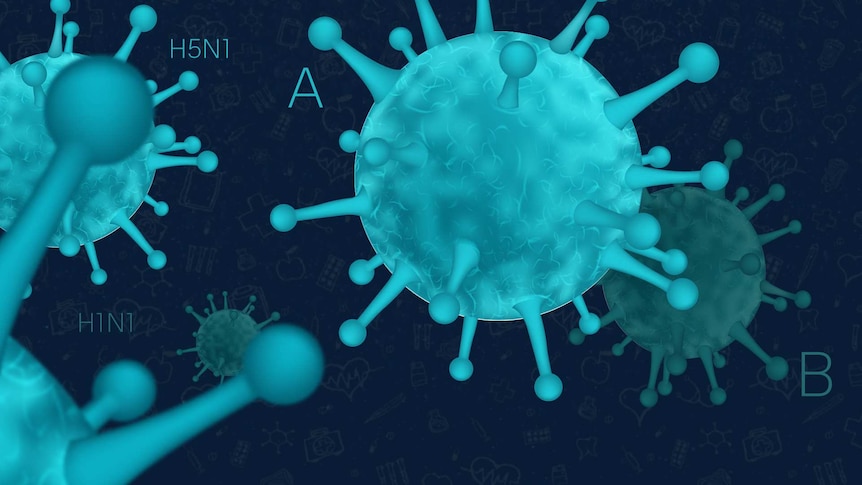 An illustration of the influenza virus with the letters A, B, H1N1 and H5N1 floating about.
