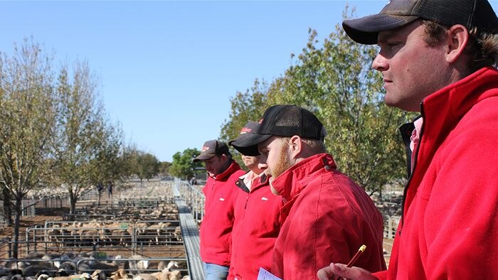 North west Victorian saleyard