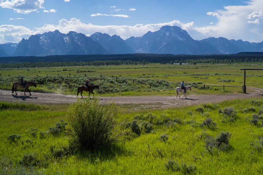 Three ranchers ride horses in front of an open field. 