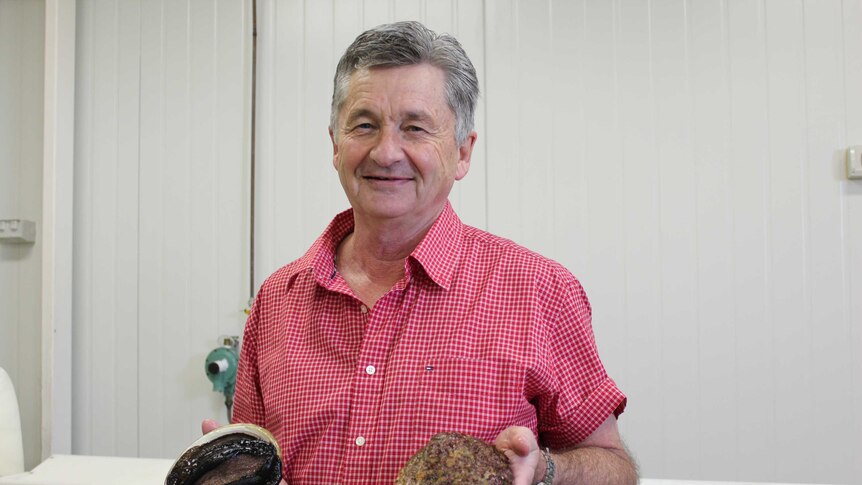 Adrian Cuthbertson said the link between the abalone was a chance discovery
